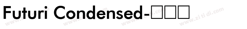 Futuri Condensed字体转换